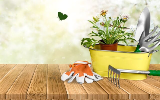 Get Your Garden Summer Ready Before Going on the Market